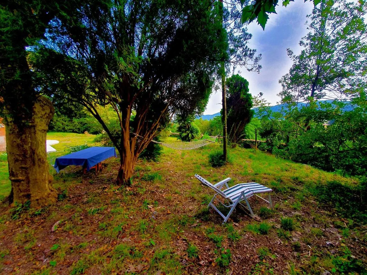 Villa De Benedetti Sarzana Guest house