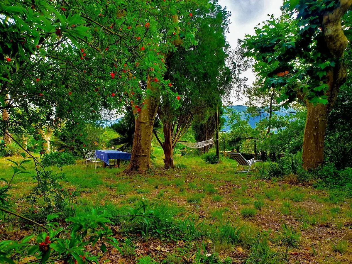 Villa De Benedetti Sarzana Guest house